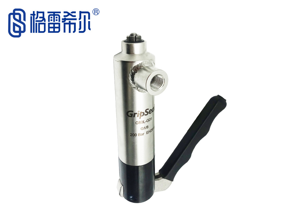 G80系列內(nèi)螺紋密封測試接頭